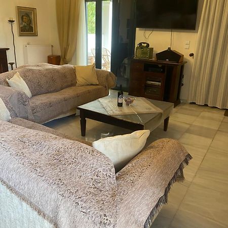 Villa Artemis Αίγινα Εξωτερικό φωτογραφία