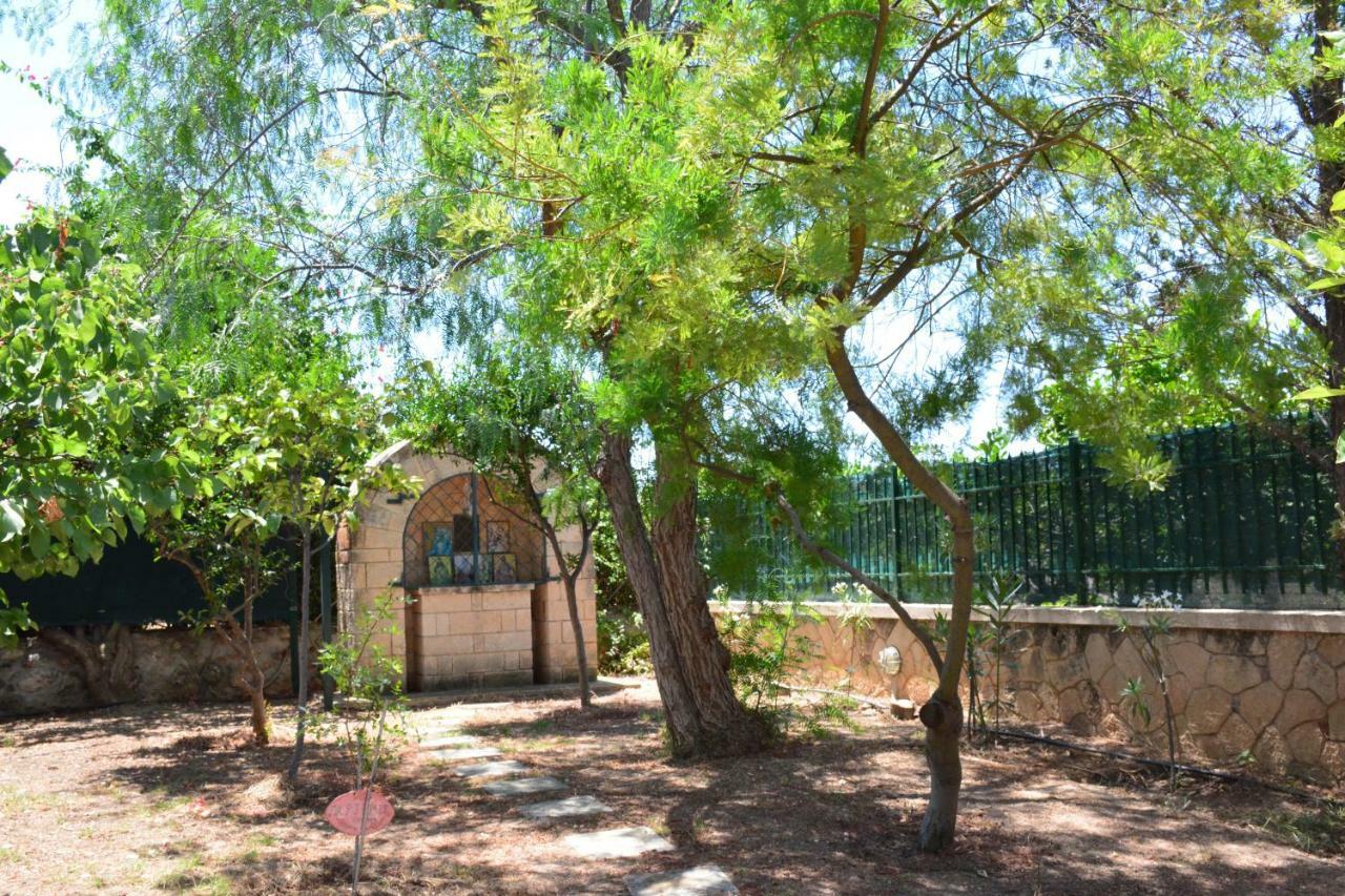 Villa Artemis Αίγινα Εξωτερικό φωτογραφία