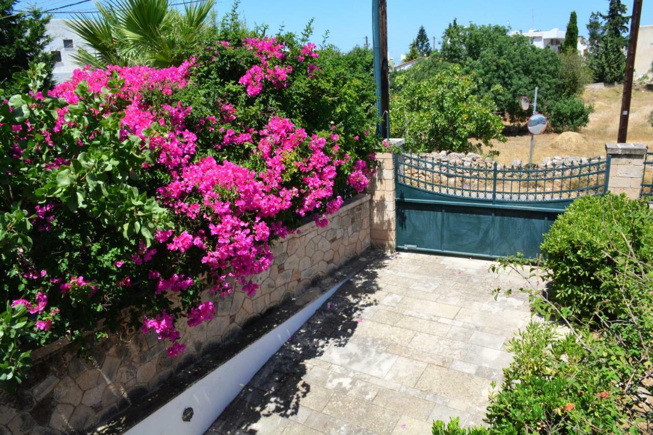 Villa Artemis Αίγινα Εξωτερικό φωτογραφία