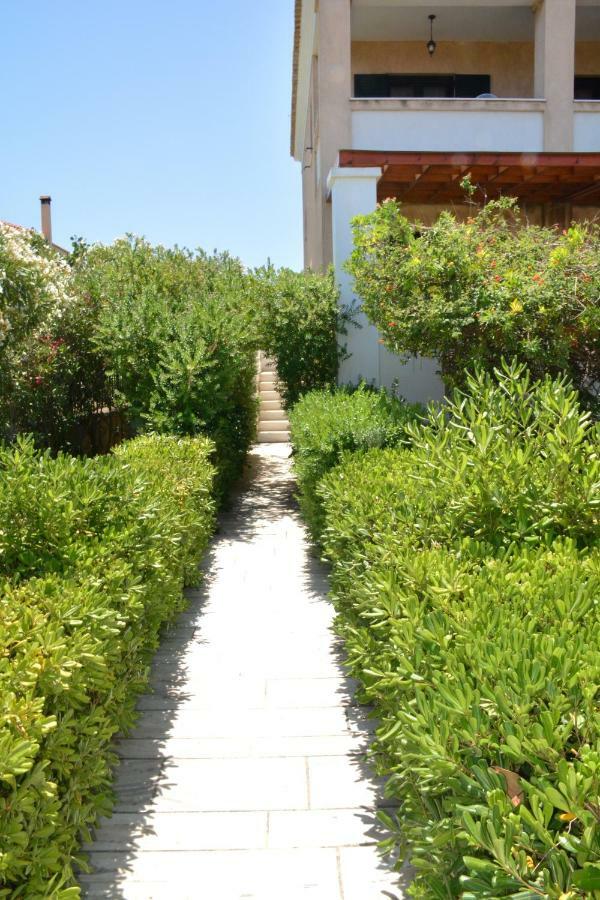 Villa Artemis Αίγινα Εξωτερικό φωτογραφία